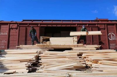 中国企业在俄木材加工厂正式建成投产